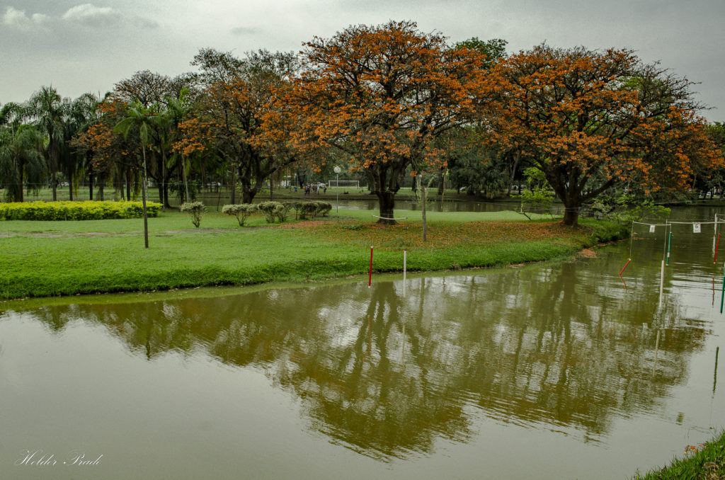 Parque da Rua do Porto