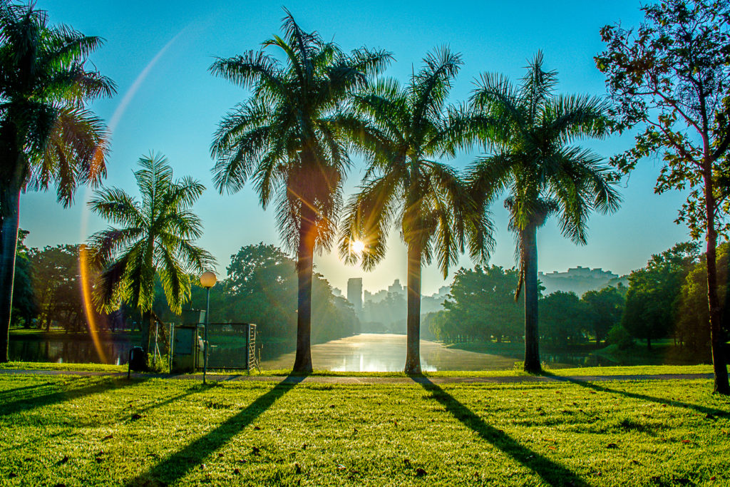 Parque da Rua do Porto