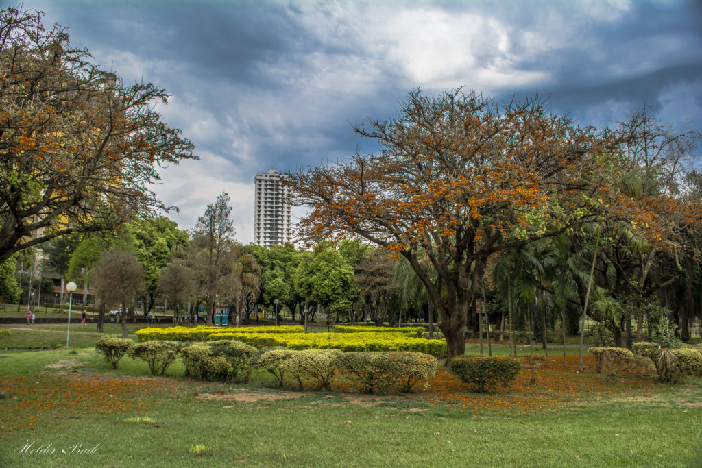 Parque da Rua do Porto