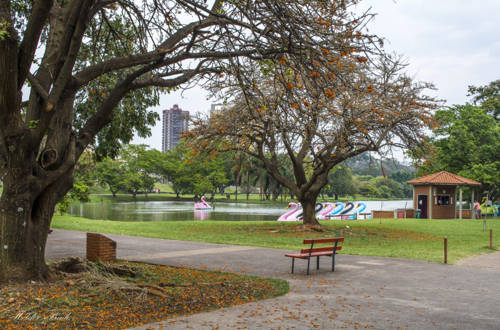 Parque da Rua do Porto