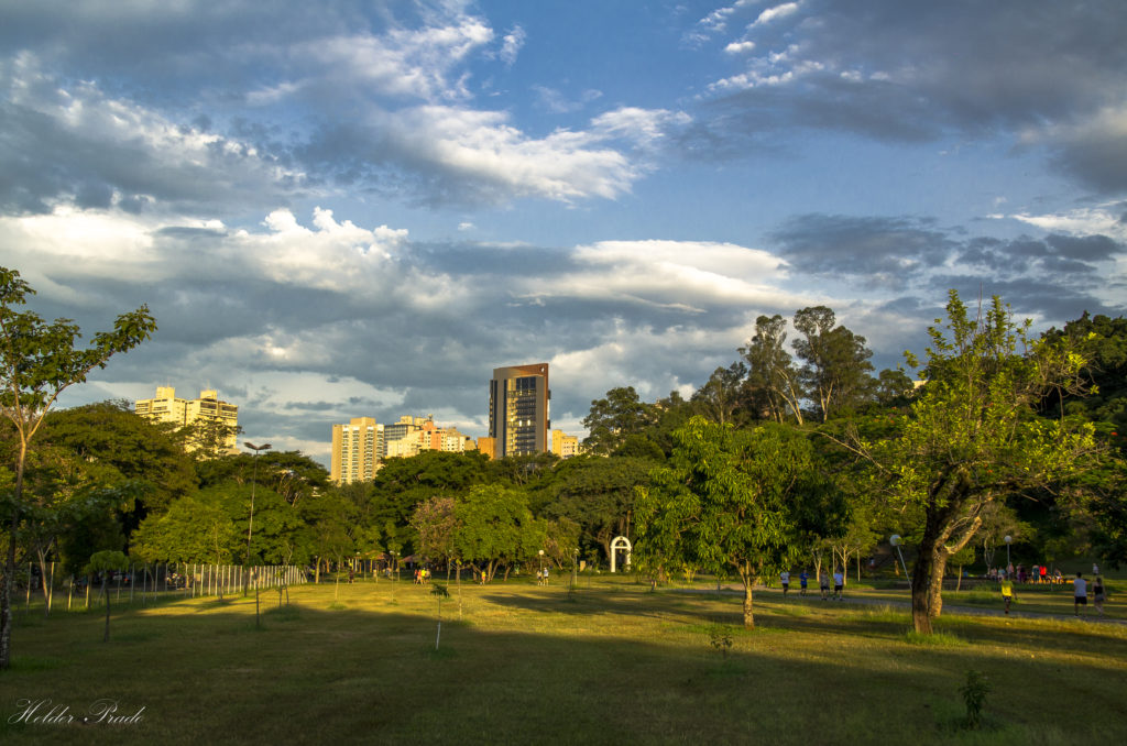 Parque da Rua do Porto